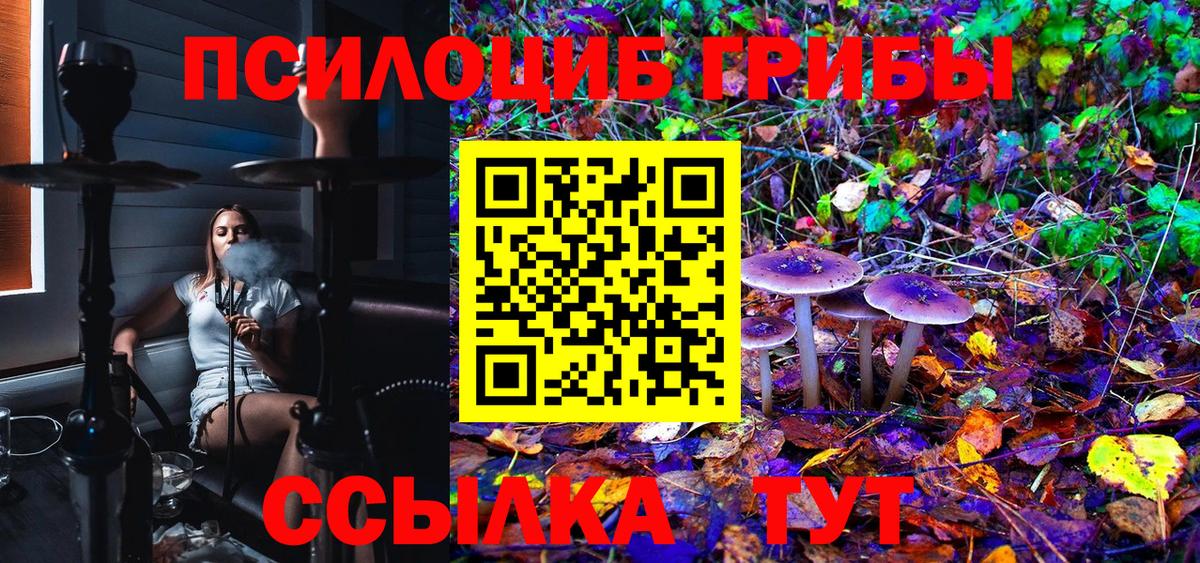 Галлюциногенные грибы Cubensis Нижнекамск