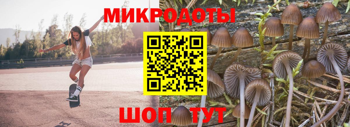 Нижнекамск  Галлюциногенные грибы MAGIC MUSHROOMS  Вход с VPN 